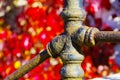 Part of an old weathered cast iron railing with a blurred red background 2 Royalty Free Stock Photo