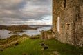 Close up of Castle Tarbert on the right, green grass and rocks in the foreground and tarbert bay in the background with beautiful