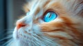 A close up of a cat with blue eyes looking at something, AI Royalty Free Stock Photo