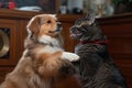 close-up of cat and dog, dancing to the same beat in competition