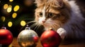 A close-up of a cat playing with a Christmas ornament
