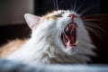 a close up of a cat yawning with its mouth open