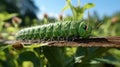 A close up of a caterpillar on a leaf. Generative AI.