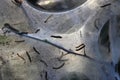 Close-Up of Caterpillars on a Spun Web Structure Outdoors Royalty Free Stock Photo