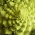 Close up cauliflower romanesco