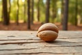 Close-Up of Cedar Nut on Wooden Surface Royalty Free Stock Photo