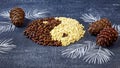 Close up of cedar pine nuts and cones in the form of yin and yang on blackboard background