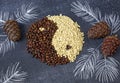 Close up of cedar pine nuts and cones in the form of yin and yang on blackboard background