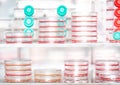 Close up of cell culture dishes and cell culture flasks in an incubator as a symbol for lab-grown meat Royalty Free Stock Photo