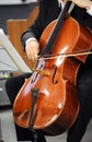 Close up of a cellist playing a cello Royalty Free Stock Photo