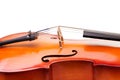 Close-up of cello fragment with bridge and F-holes
