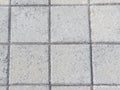 Detail of paving blocks of square cement. Royalty Free Stock Photo