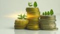 A close-up of 10 cent coins and other coins stacked up. Show the concept of flourishing investment and financial valuation