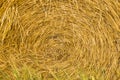 Close-up of the center of a rolled bale of hay
