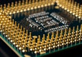 Close-up of a central processing unit (CPU) with a dark green circuit board and numerous gold-colore Royalty Free Stock Photo