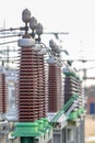 Ceramic isolators on power substation Royalty Free Stock Photo