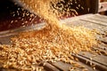 close-up of cereal grains falling from a chute