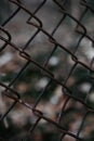 Close up of a chain link fence on a blurred background Royalty Free Stock Photo