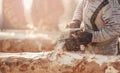Close-up chainsaw of woodcutter sawing chain saw in motion, sawdust fly to sides. Concept is to bring down trees Royalty Free Stock Photo