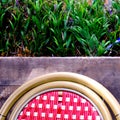 Close Up of a Chair Back Against a Row of Lavender Purple Flowers Royalty Free Stock Photo