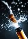 Close up of champagne cork Royalty Free Stock Photo