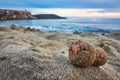 Close-up of champagne cork on a sandy beach with the sea in the background Royalty Free Stock Photo