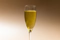 Close-up of champagne in champagne flute isolated against brown background, copy space Royalty Free Stock Photo