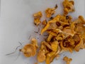 Close up of chantarelle mushrooms Royalty Free Stock Photo