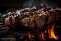 close-up of charred beef shishkabob with sizzling grill marks Royalty Free Stock Photo