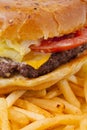 Close up Cheese Burger and Fries Royalty Free Stock Photo