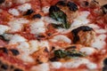 Close-up of cheese pizza with red sauce and basil leaves Royalty Free Stock Photo