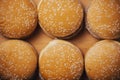 Close-up of cheeseburgers or hamburgers on a wooden background. Food background. Buns with sesame Royalty Free Stock Photo