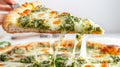 Close-up of a cheesy pesto pizza slice being lifted with stretchy mozzarella Royalty Free Stock Photo