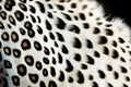 Close up of cheetah pattern on white and black background. Generative AI Royalty Free Stock Photo