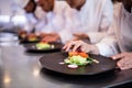 Close-up of chef decorating food plate Royalty Free Stock Photo