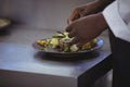 Close-up of chef garnishing meal on counter Royalty Free Stock Photo