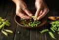 Close-up of the chef hands on the kitchen table peeling green pea pods. Organic peasant food after harvest. Peas in a bowl Royalty Free Stock Photo