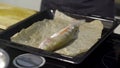 Close-up of chef preparing stuffed fish. Art. Professional chef prepares signature fish with vegetables. Dish of stuffed Royalty Free Stock Photo