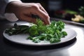 close-up of a chef& x27;s hands, placing fresh herbs and spices on plate
