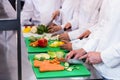 Close-up of chefs chopping vegetables Royalty Free Stock Photo