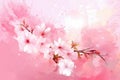 Close Up of Cherry Blossoms Branch Japanese Pink Sakura Watercolor Painting