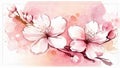 Close Up of Cherry Blossoms Japanese Pink Sakura Watercolor Painting Royalty Free Stock Photo