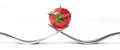 Close up of a cherry tomato balancing on forks, isolated Royalty Free Stock Photo