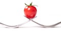Close up of a cherry tomato balancing on forks, isolated Royalty Free Stock Photo
