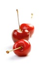 Close up of cherrys on white background Royalty Free Stock Photo