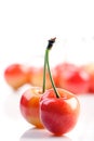 Close up of cherrys on white background Royalty Free Stock Photo