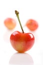 Close up of cherrys on white background Royalty Free Stock Photo