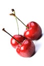 Close up of cherrys on white background Royalty Free Stock Photo