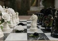 Close up of a chess board with white and black pieces decorated with flowers and a venus flytrap Royalty Free Stock Photo