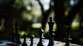 Close-up of a chess game in the park, blurred background of trees and paths